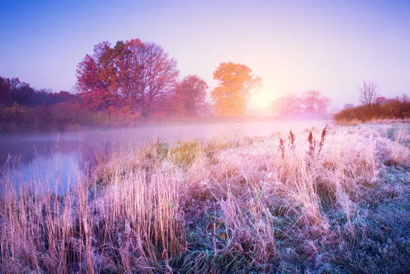 november landscape autumn morning colorful trees hoarfrost ground fall dawn november landscape autumn morning 124954696
