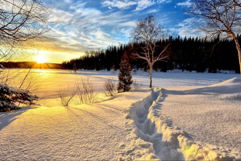 paysage neige et soleil 2 1920par1080 1736264414 800x534